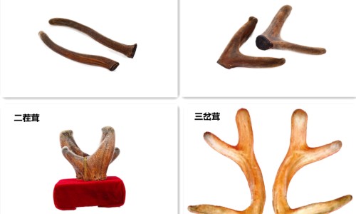 食物中毒会全身长红点吗-食物中毒会全身长红点吗网—知名的食物中毒身上会起疙瘩吗网站,分享食物中毒了身上会发黄吗知识